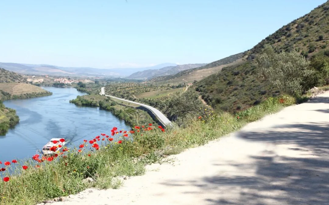 Ecopista do Sabor: Pedalar entre a Serra e o Rio